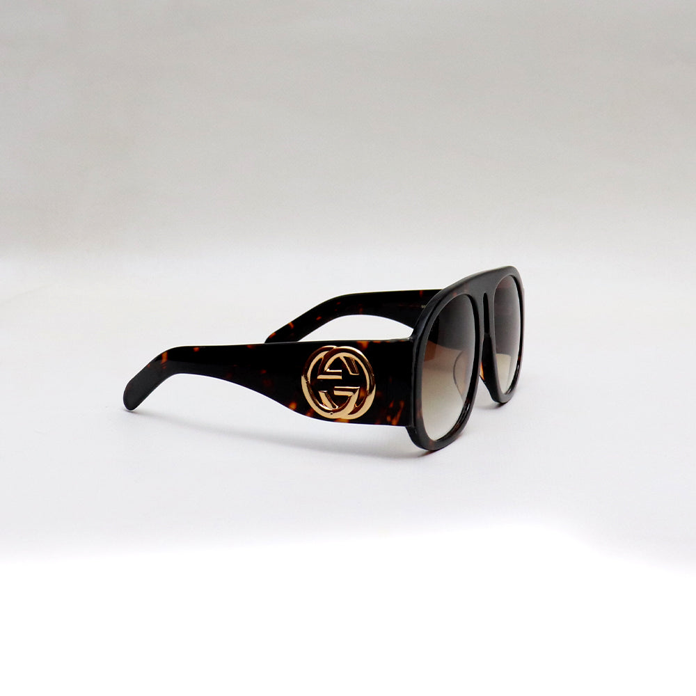 GG0152S BROWN - All About Eg