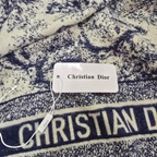 Christian Dior Toile de Jouy Scarf