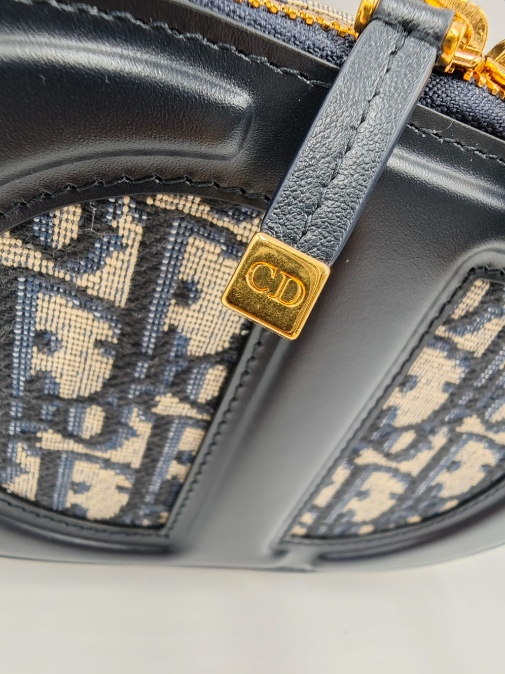 Christian Dior CD Signature Oval Camera Bag - All About Eg