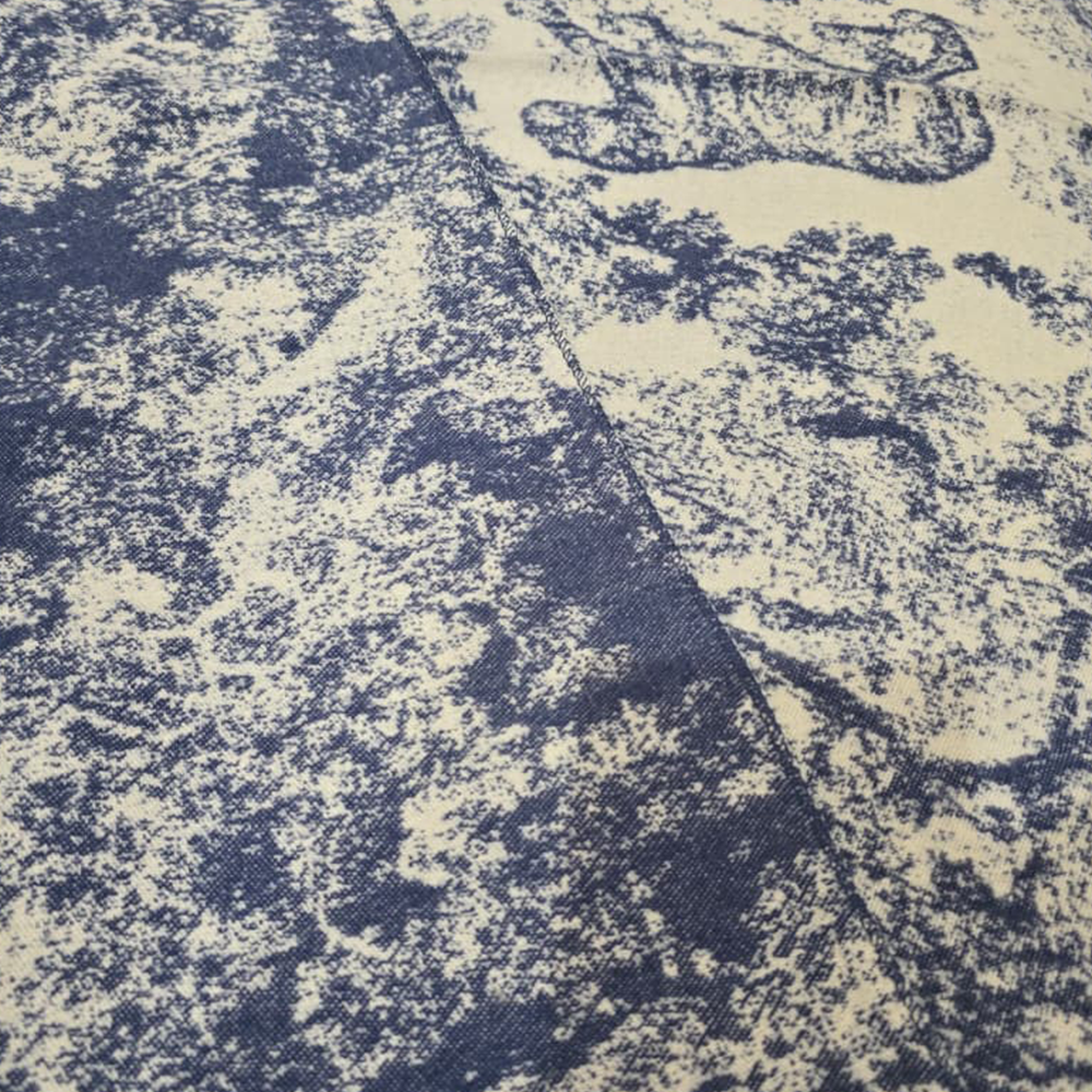 Christian Dior Toile de Jouy Scarf
