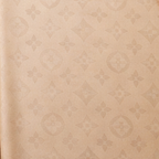 Louis Vuitton Monogram Gradient Scarf – Beige